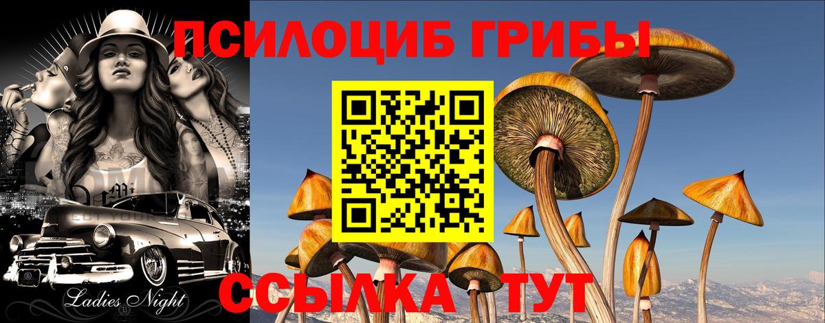 Галлюциногенные грибы Magic Shrooms Малоярославец