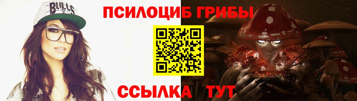 Галлюциногенные грибы Psilocybe  Вход с VPN  Малоярославец 